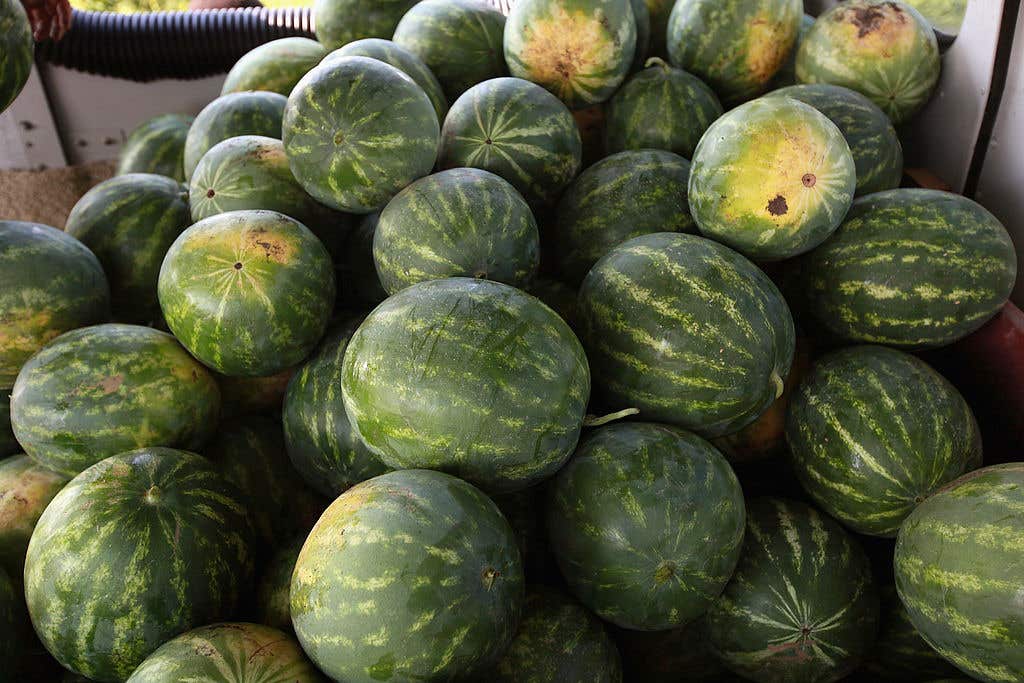 Bulk watermelons. California Customs Officers Seize Methamphetamine Terribly Disguised As Watermelons