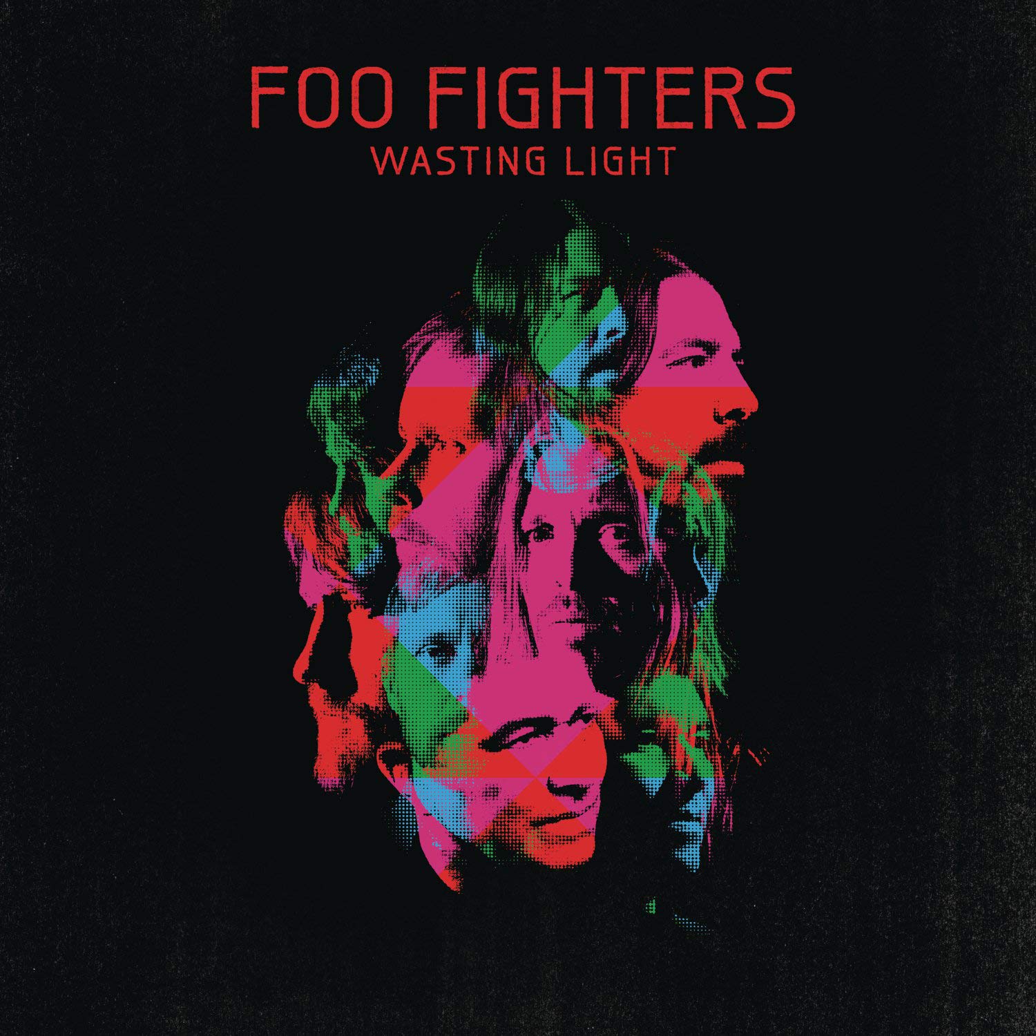 wasting-light-1.jpg