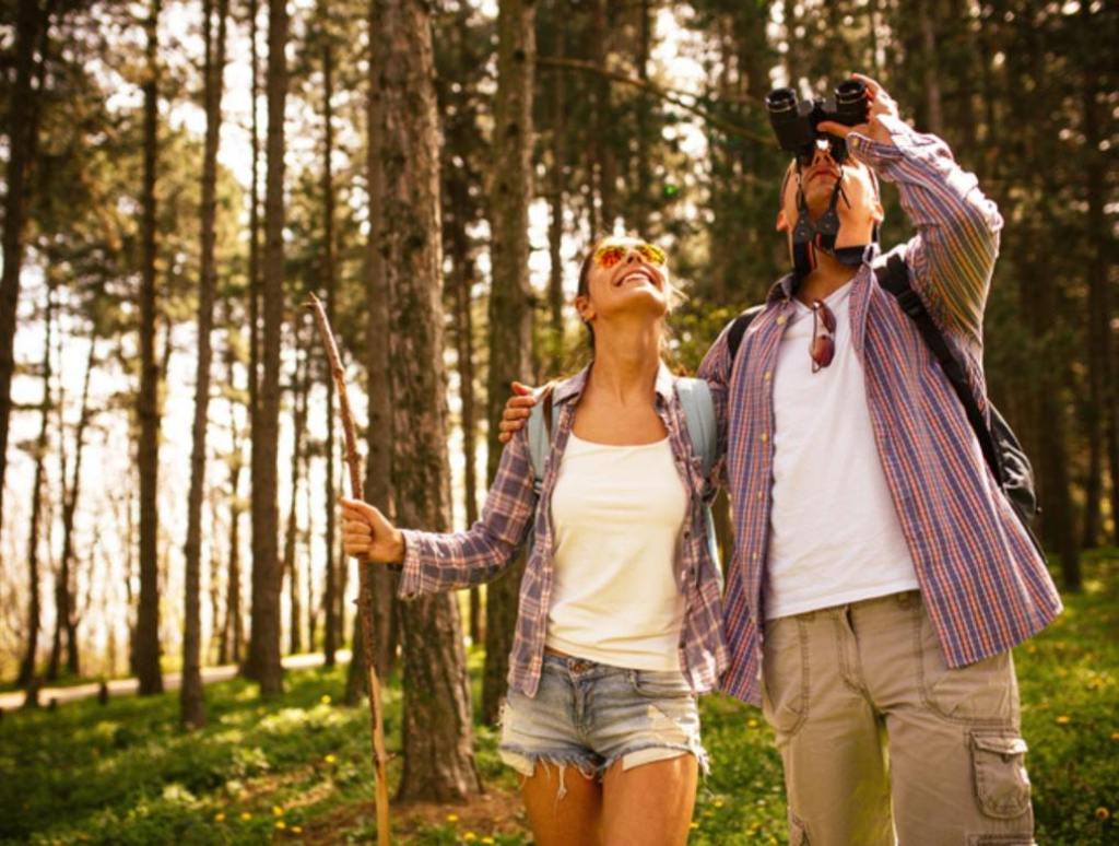 Couple hiking trough forest on beautiful summer day.Watching birds. (Birding Bliss: America's Top National Parks for Bird Watching)